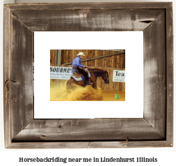 horseback riding near me in Lindenhurst, Illinois